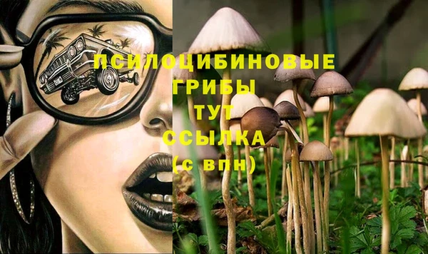 синтетический гашиш Абдулино