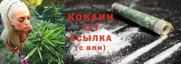шишки Абинск