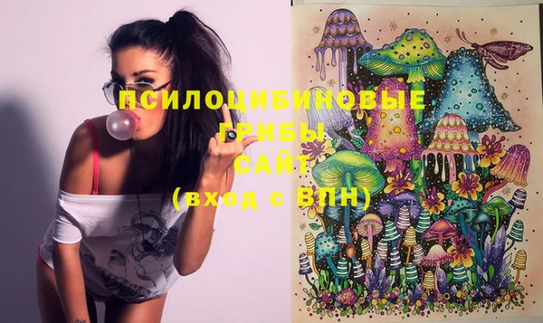 шишки Абинск