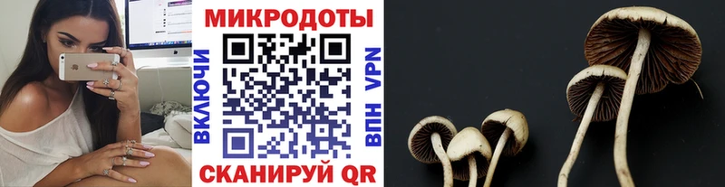Псилоцибиновые грибы MAGIC MUSHROOMS  купить наркоту  OMG ссылка  Агидель 